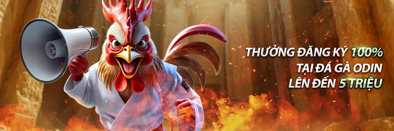 Hình ảnh chính về nền tảng trực tiếp đá gà Thomo với các tính năng nổi bật và ưu đãi hấp dẫn